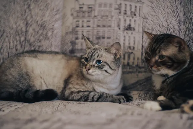 Bekanntschaft – So knüpfst und pflegst du neue Kontakte