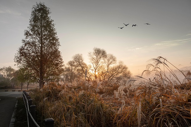 Besucher bei Michverlieben.com