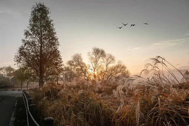 Besucher bei Michverlieben.com