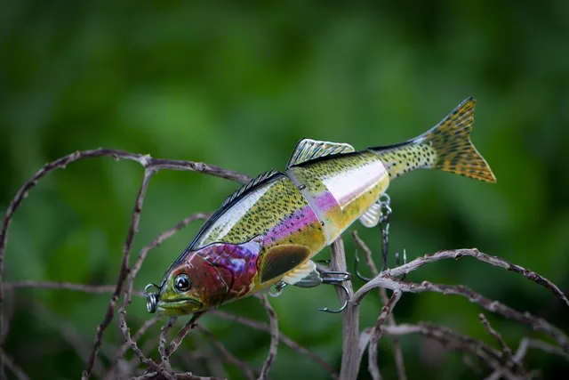 Catch & Release: Wenn Daten zum Sport wird (und du das Trophäen-Foto bist)