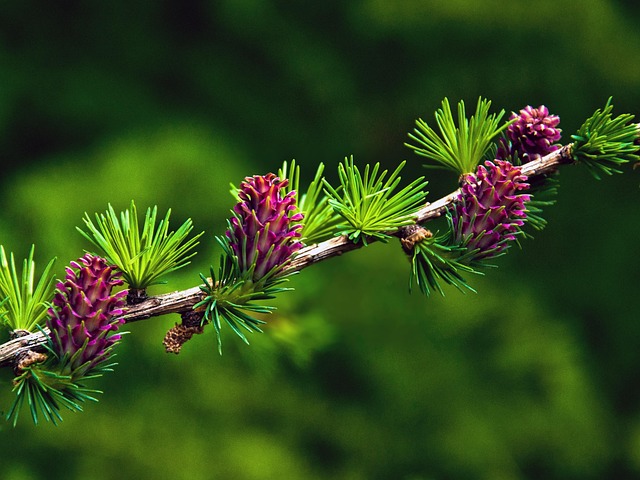 Darf man im Trennungsjahr einen neuen Partner haben? Zwischen Herz und Regeln