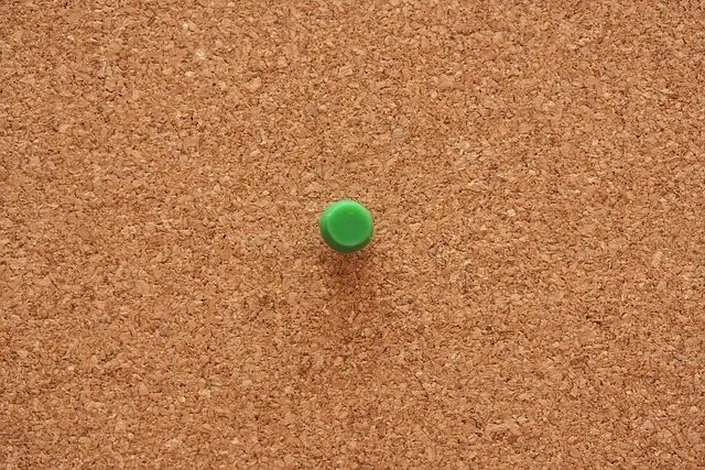 Date Ideen Sommer: Kreative Tipps für warme Tage, laue Nächte und unvergessliche Momente