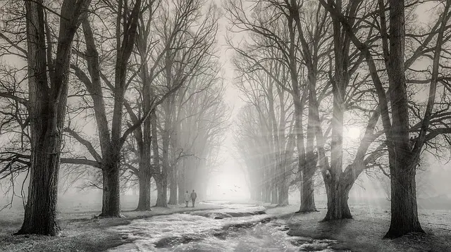 ElitePartner kostenlos testen: Lohnt sich die Premium-Partnervermittlung?