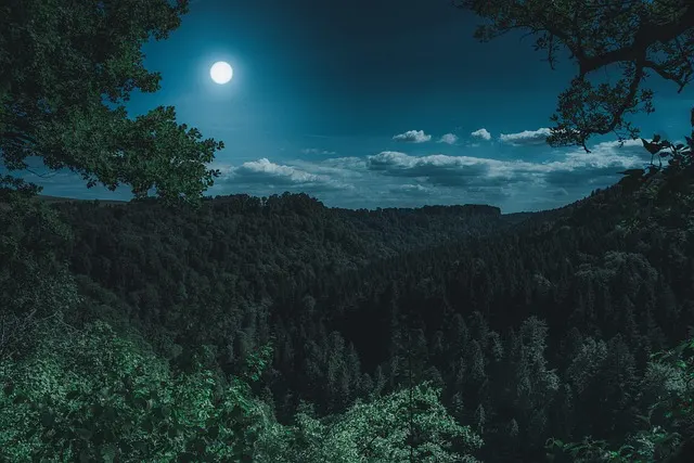22:22 Bedeutung: Engelszahl 2222 am Ende des Tages