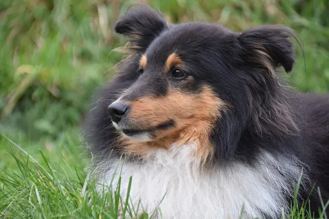 Er ignoriert mich plötzlich: Was tun, wenn er sich nicht mehr meldet