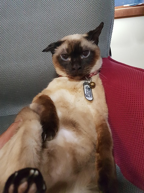 Ich liebe ihn, aber ich kann nicht mehr