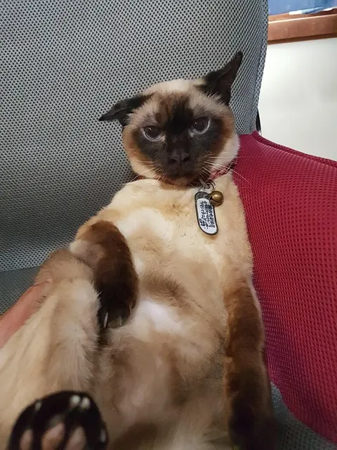 Ich liebe ihn, aber ich kann nicht mehr