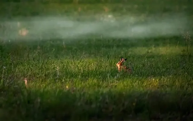 In der Kennenlernphase interessant bleiben