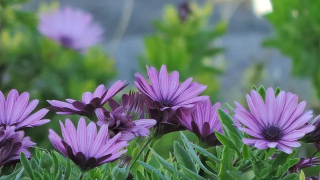 Liebt er mich? Klare Anzeichen, dass ein Mann wirklich Gefühle hat