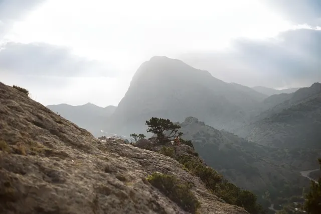 Partnersuche für Berufstätige – Liebe trotz vollem Kalender