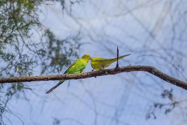 Partnersuche für Senioren: Kostenlos den richtigen Partner finden