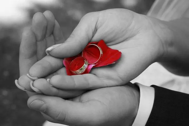 Polygamie: Bedeutung, Formen und was polygam im Alltag heißt