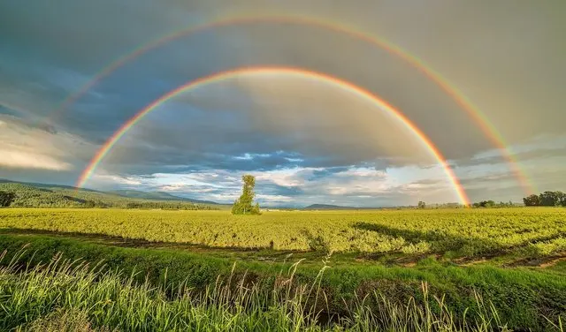 Regenbogenbrücke: Bedeutung, Herkunft und 95 Abschiedssprüche