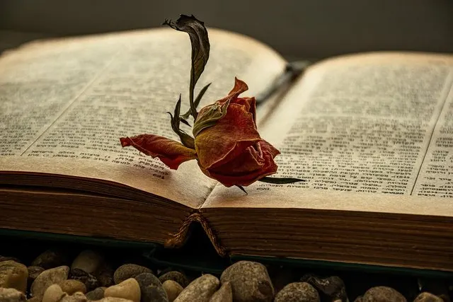 Rilke Gedichte: 12 berühmte Verse mit Deutung und Zitaten