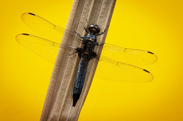 Singlebörse ab 50: Das musst du beim Online-Dating beachten