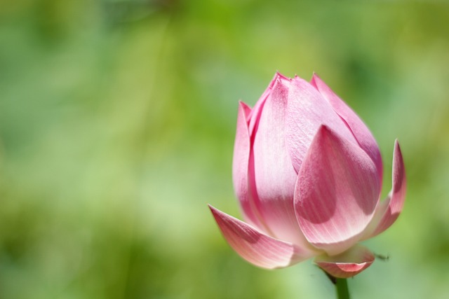 Singles in unserer Hauptstadt Berlin