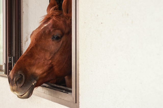 Stört es Männer, wenn die Frau älter ist