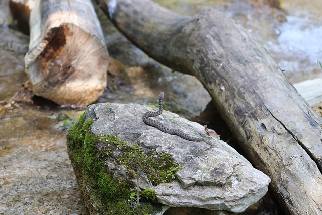 Toxische Liebe: Wenn die Leidenschaft zur Gefahr wird