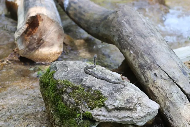 Toxische Liebe: Wenn die Leidenschaft zur Gefahr wird