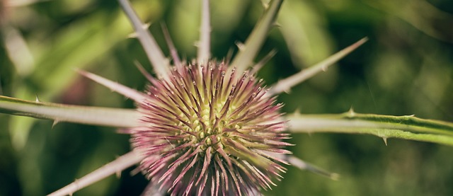 Unnahbar wirken: Warum Zurückhaltung manchmal anzieht – und wann sie Beziehungen blockiert