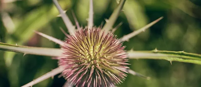 Unnahbar wirken: Warum Zurückhaltung manchmal anzieht – und wann sie Beziehungen blockiert