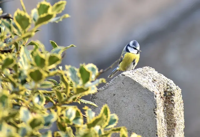 Warum werde ich geghostet? Die ehrlichen Gründe – und was du ändern kannst