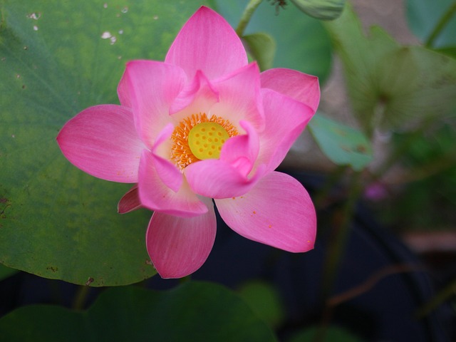 Was bedeutet akzeptieren? Ein Blick auf Liebe, Beziehungen und Akzeptanz