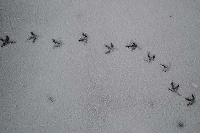 Was ist ein One Night Stand? Bedeutung, Ablauf und was wirklich dahinter steckt