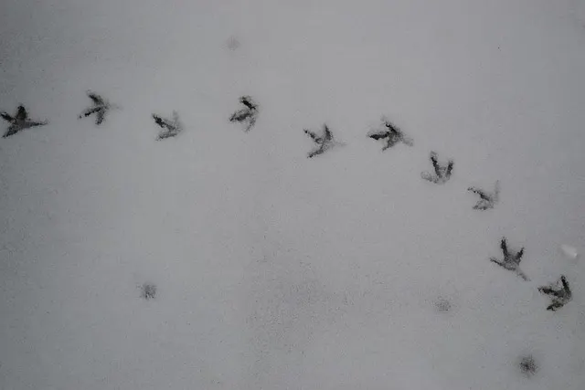 Was ist ein One Night Stand? Bedeutung, Ablauf und was wirklich dahinter steckt