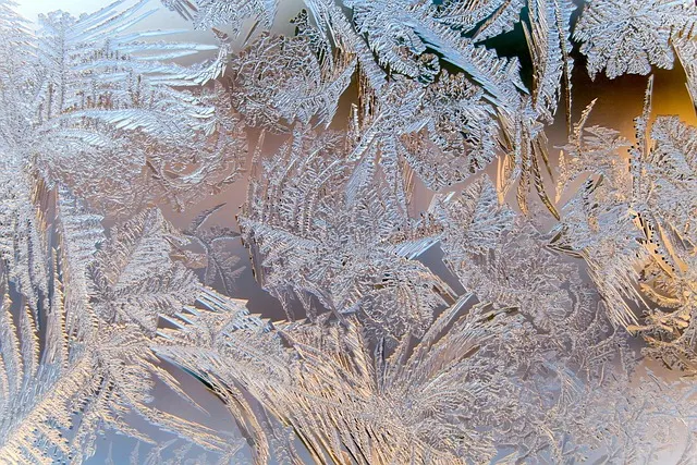Weihnachtsgrüße für Freunde: 105 Texte für jede Nähe