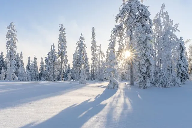 Wintergedichte: Klassiker, kurze Verse und Schneegedichte